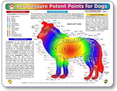 Kemah Acupressure Potent Points for Dogs Chart