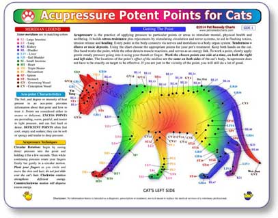 Kemah Acupressure Potent Points for Cats Chart