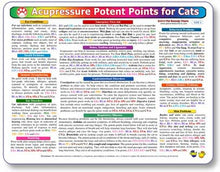 Kemah Acupressure Potent Points for Cats Chart