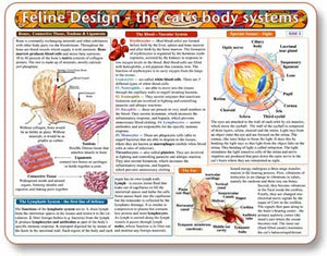 Feline Design-The Cat's Body Systems - Anatomical Chart