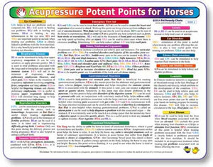 Kemah Acupressure Potent Points for Horses Chart